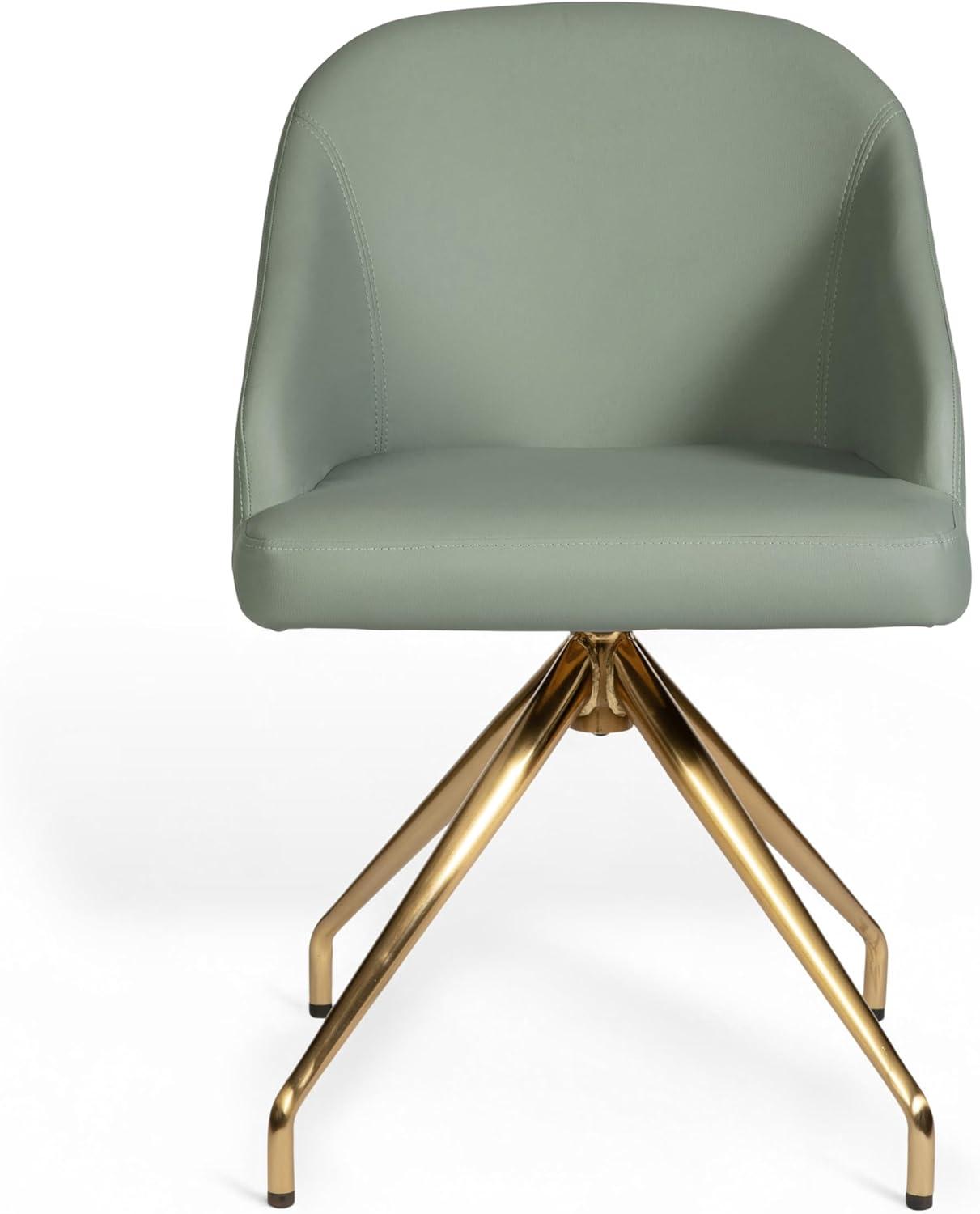 imageMartha Stewart Sora Stationary Swivel Task Chair with Sloped Arms for Home Office in Sage Faux Leather with Polished Brass FrameSage Faux LeatherPolished Brass Frame