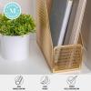 Martha Stewart Ryder Gold Mesh Metal Single Slot Magazine File Holder, Desktop Organizer, 9.75 x 3.75 x 11.5