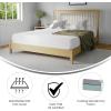 Flash Furniture Jasmine 8 Inch Green Tea Memory Foam Mattress – Charcoal Infused – Supportive Pressure Relief – CertiPUR-US Certified Foam – Twin Mattress in a Box, White(Queen)