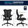 Flash Furniture Kale High Back Designer White Mesh Executive Swivel Ergonomic Office Chair with Adjustable Arms(Black Mesh)
