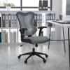 Flash Furniture Kale High Back Designer White Mesh Executive Swivel Ergonomic Office Chair with Adjustable Arms(Gray Mesh)