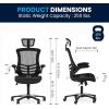 Flash Furniture Kelista High-Back Swivel Office Chair with Adjustable Lumbar Support and Seat Height, Ergonomic Mesh Desk Chair, Black(Black)