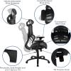 Flash Furniture LO Ergonomic Mesh Office Chair with 2-to-1 Synchro-Tilt, Adjustable Headrest, Lumbar Support, and Adjustable Pivot Arms in Black(Black)