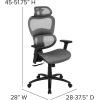Flash Furniture LO Ergonomic Mesh Office Chair with 2-to-1 Synchro-Tilt, Adjustable Headrest, Lumbar Support, and Adjustable Pivot Arms in Gray