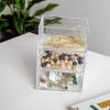 Martha Stewart Brody Desktop Storage Organizer, Stack and Slide Plastic Organizer Tray, Organizer for Office, Kitchen, or Vanity, 3″ x 3.75″, Clear(1-S)