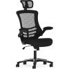 Flash Furniture Kelista High-Back Swivel Office Chair with Adjustable Lumbar Support and Seat Height, Ergonomic Mesh Desk Chair, Black(Black)