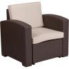 Flash Furniture Seneca Chocolate Brown Faux Rattan Chair with All-Weather Beige Cushion(Chocolate Brown)