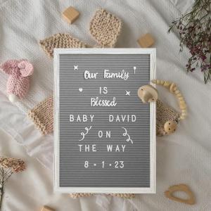 Flash Furniture Gracie Felt Letter Board with Wooden Frame, 389 PP Letters Including Numbers, Symbols and Icons, Canvas Carrying Case, 12×17, White Wash/Gray Felt