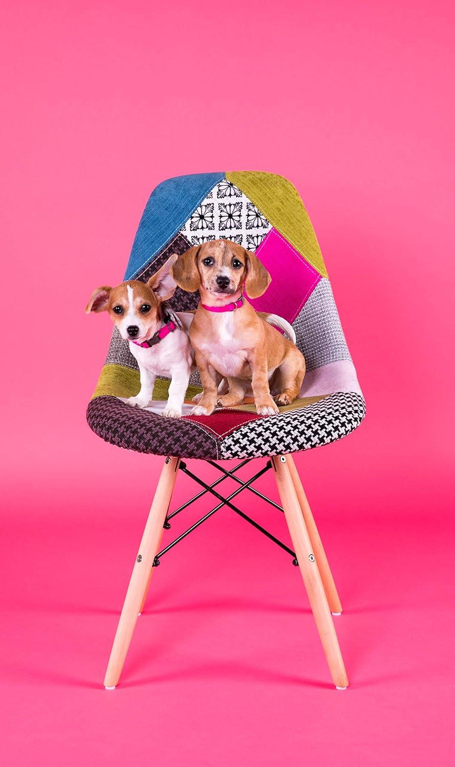 imageFlash Furniture 2 Pack Elon Series Milan Patchwork Fabric Chair with Wooden LegsMilan Patchwork