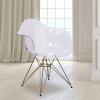 Flash Furniture Allure Series Transparent Side Chair with Gold Base(Set of 1)
