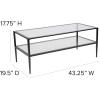 Flash Furniture Newport Collection Glass Coffee Table with Black Metal Frame(Coffee Table)
