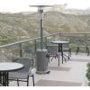 Flash Furniture Sol Patio Outdoor Heating-Bronze Stainless Steel 40,000 BTU Propane Heater with Wheels for Commercial & Residential Use-7.5 Feet Tall(Silver)