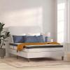 Flash Furniture Capri Comfortable Sleep 12″ Hybrid Pocket Spring and Foam Mattress, Foam Pocket Spring Hybrid Mattress for Pressure Relief, Queen(Queen)