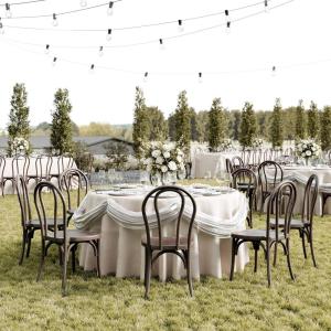 Flash Furniture Hercules Commercial Indoor/Outdoor Thonet Style Chair, Wood Look, Weather-Resistant, Lightweight Design, Versatile Use, Set of 2, Dark Brown(Dark Brown)
