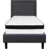 Flash Furniture Roxbury Queen Size Tufted Upholstered Platform Bed in Dark Gray Fabric with Memory Foam Mattress(Dark Gray)