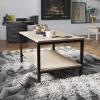 Flash Furniture Finley 2-Tier Rectangular Coffee Table – Modern Engineered Driftwood Finish Top – Black Steel Tube Frame – Lower Shelf