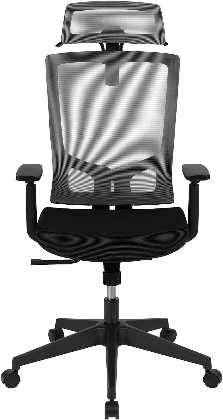 image:imageFlash Furniture Ergonomic Mesh Office Chair with SynchroTilt Pivot Adjustable Headrest Lumbar Support Coat Hanger and Adjustable Arms in GrayBlack