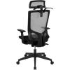 Flash Furniture Ergonomic Mesh Office Chair with Synchro-Tilt, Pivot Adjustable Headrest, Lumbar Support, Coat Hanger and Adjustable Arms in Gray/Black