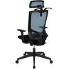 Flash Furniture Layla Ergonomic Mesh Office Chair with Synchro-Tilt, Pivot Adjustable Headrest, Lumbar Support, Coat Hanger and Adjustable Arms in Blue/Black