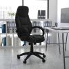 Flash Furniture Leonard High Back Black LeatherSoft Contemporary Executive Swivel Ergonomic Office Chair with Curved Back and Loop Arms