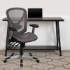 Flash Furniture Sam Mid-Back Transparent Gray Mesh Multifunction Executive Swivel Ergonomic Office Chair with Adjustable Arms(Grey)