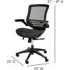 Flash Furniture Warfield Mid-Back Transparent Black Mesh Executive Swivel Office Chair with Graphite Silver Frame and Flip-Up Arms(Black Mesh/Black Frame)