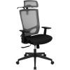 Flash Furniture Ergonomic Mesh Office Chair with Synchro-Tilt, Pivot Adjustable Headrest, Lumbar Support, Coat Hanger and Adjustable Arms in Gray/Black