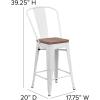 Flash Furniture Lily 24″ High Red Metal Counter Height Stool with Back and Wood Seat (Pack of 1)(White)