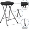 Flash Furniture Micah Foldable Stool with Black Plastic Seat and Titanium Gray Frame (Pack of 2)(Set of 1)