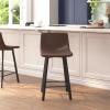 Flash Furniture Caleb Modern Armless 24 Inch Counter Height Stools Commercial Grade w/Footrests and Matte Metal Frames, Set of 2